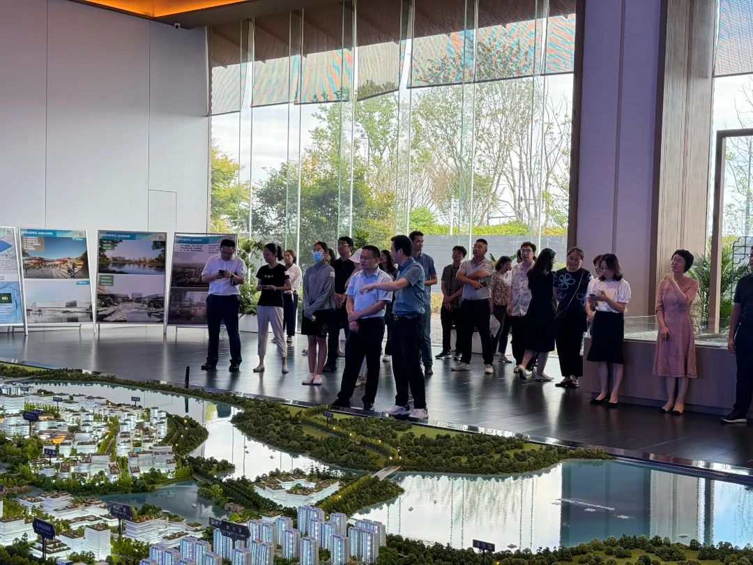 政府開放月活動：公眾走近示范區(qū)，感受青浦蓬勃發(fā)展.jpg