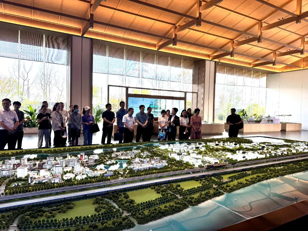 政府開放月活動：公眾走近示范區(qū)，感受青浦蓬勃發(fā)展 .jpg