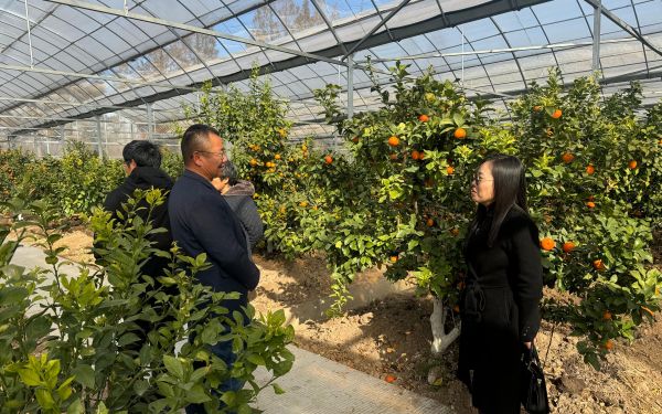 上海地區(qū)柑桔生產(chǎn)技術論壇在崇明區(qū)成功舉辦——推動柑桔產(chǎn)業(yè)提質(zhì)增效與品牌化發(fā)展4.jpg 上海地區(qū)柑桔生產(chǎn)技術論壇在崇明區(qū)成功舉辦——推動柑桔產(chǎn)業(yè)提質(zhì)增效與品牌化發(fā)展4.jpg