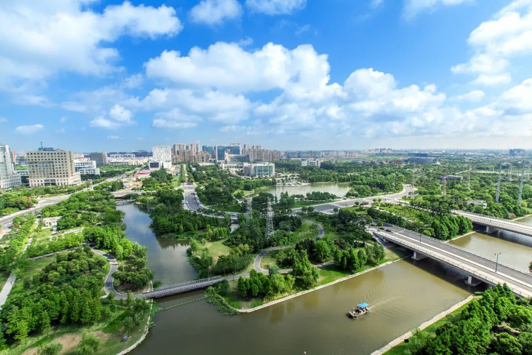 金山濱海地區(qū)新貌.jpeg 金山濱海地區(qū)新貌.jpeg